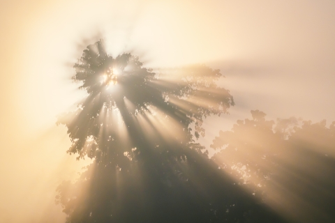Helping bring light